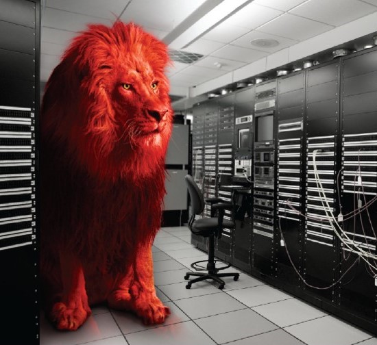 Εικόνα επιλογής